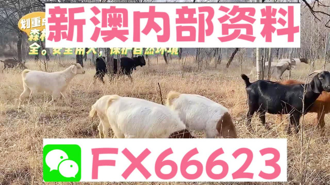°쿪ϴȫ°̬ڹͽ˵
