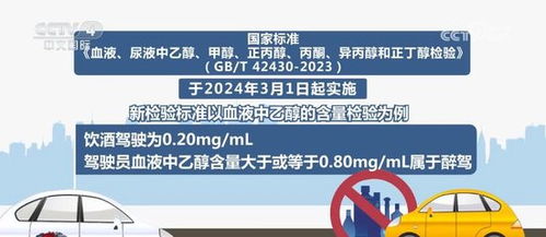 2025年正版资料免费大全中特,数据导向实施_C版66.918
